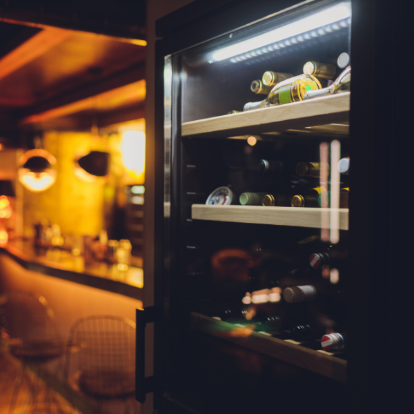 Điều kiện lý tưởng về nhiệt độ, ánh sáng và độ ẩm